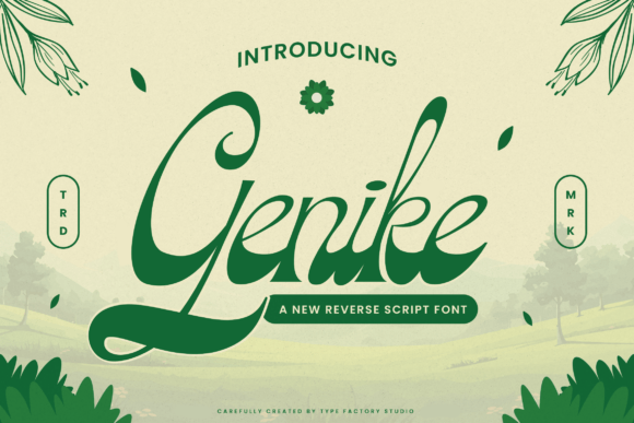 Genike Typeface: A Soft Script for Editorial Design