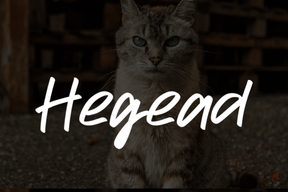 Hegead: A Modern Typeface for Elegant Branding