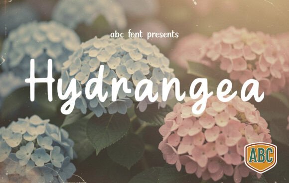 Hydrangea Font: A Timeless Script for Crafters