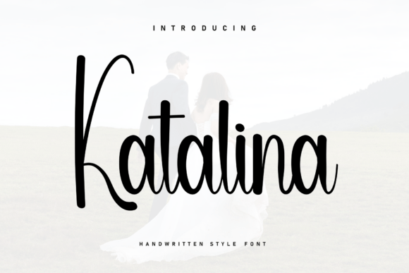 Katalina: A Designer’s Honest Review for Real Projects